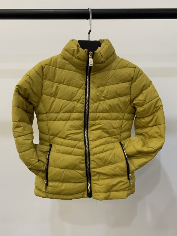 2023 Solid Color Stain-Resistant Short Down Cotton Jacket